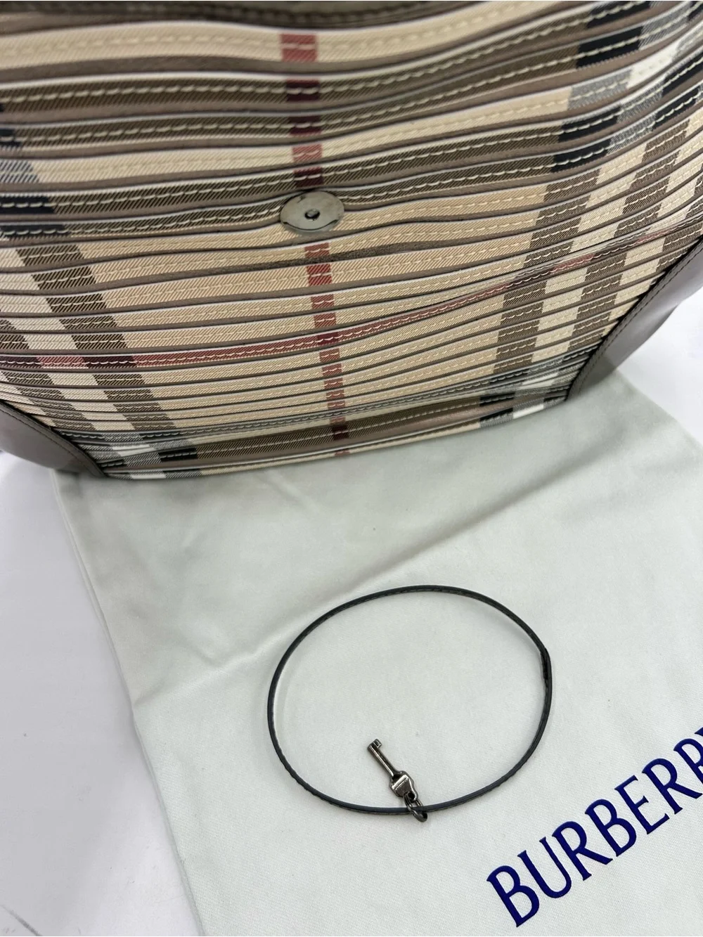 Women's Burberry Brooke hobo Bag canvas check made in Italy pristine condition